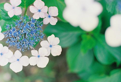 ����������¾��ã��������� (3)