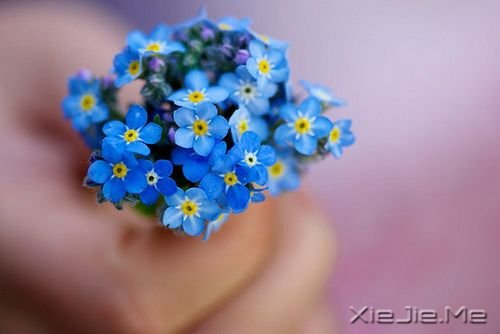 �����ھ;���ʧ��������δ����ôԶ�����ô�� (8)