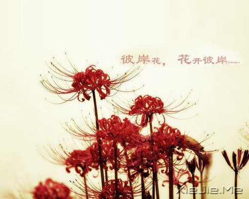 untitled���˰���������ɳ�����˰�