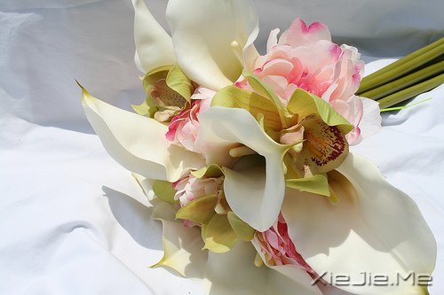 若你懂得,就请珍惜 (7)