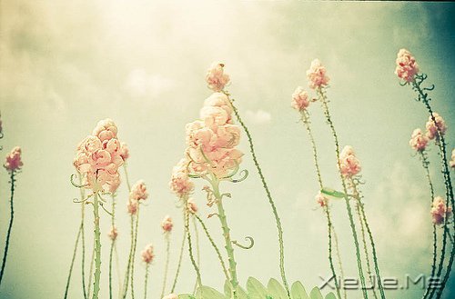 只有知足感恩,才能笑对人生 (3)