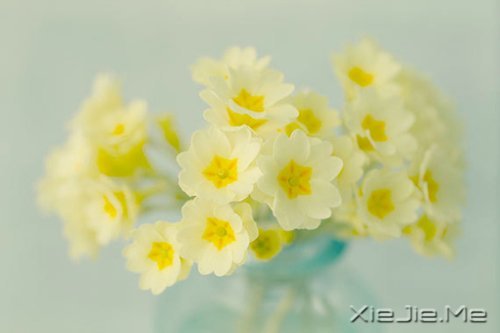 人生有多残酷,你就该有多坚强 (6)