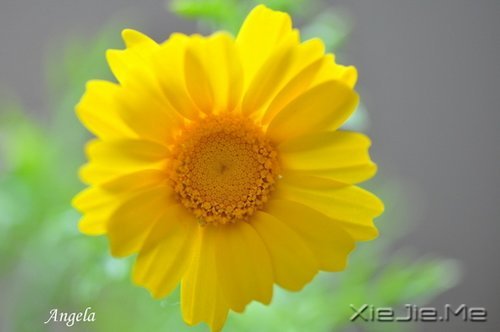 ��Ȼһ�У��������� (9)