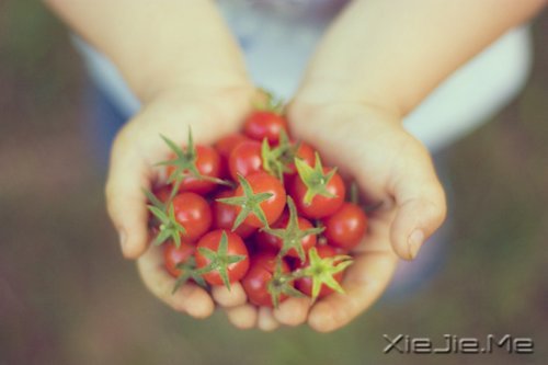 ԽŬ����Խ���� (2)