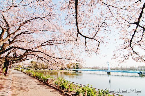 只要内心不乱,外界就很难改变你什么 (2)