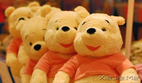 早安心语:在乎的太多,对自己也是种折磨 (5)