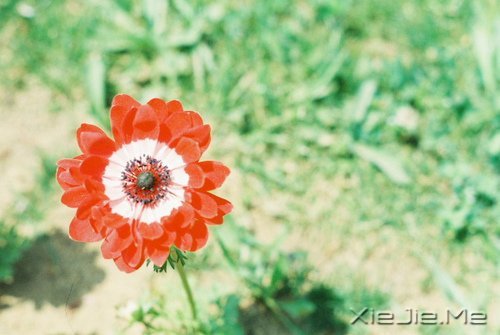 �簲�������ǰ�ߣ��㽫��Զͣ�� (1)