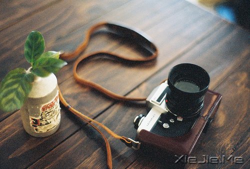 ������������һ���Ǹ����˿��ģ����ɵ�һ���Ǹ����˿��� (2)