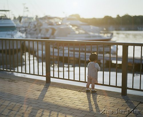 ���������������ڰ�����������ƻ� (4)