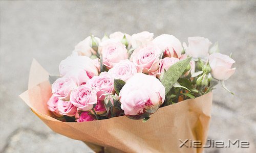 晚安心语:遇见,就是幸福 (1)