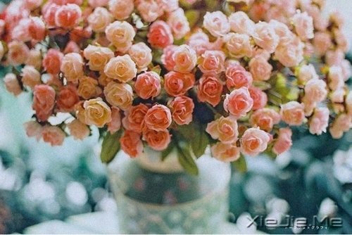 �簲����谮�Լ�����������Ҫ�� (5)