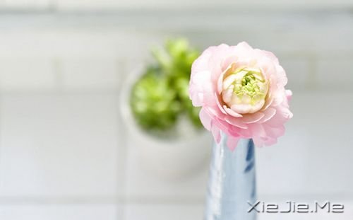 ��������¸����΢Ц��� (9)