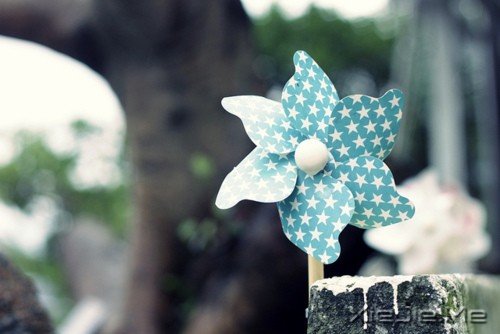 ���������Ҫ��Ϊ�ߵ�̫Զ����������Ϊʲô���� (8)