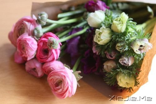 晚安心语:别忘了最初的自己 (3)