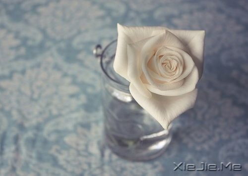 晚安心语:别忘了最初的自己 (8)