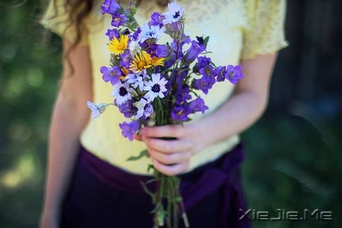 早安心语:生活总会给你另一个机会,这个机会叫明天 (5)