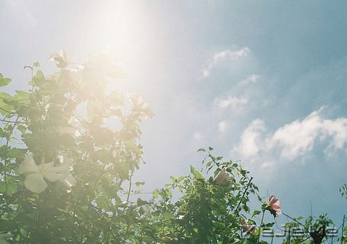 �簲��������ж�пᣬ��͸��ж��ǿ (5)