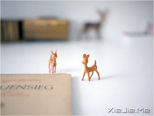 早安心语:选一种姿态,让自己活得无可替代 (5)