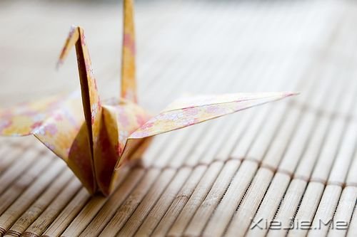 ���������Ц��ȫ�������Ц (8)