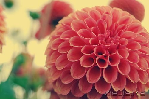 �簲�������û����Ϣ�ĵط��������ﶼ�������� (5)