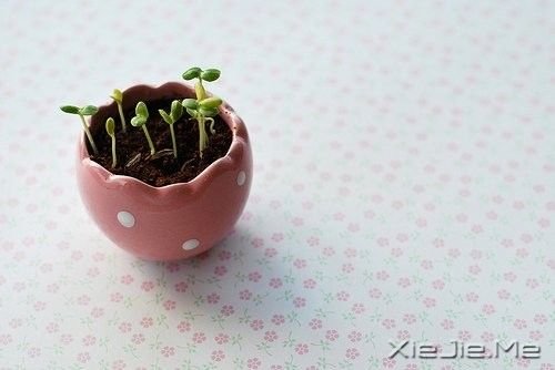 �������������㣬�������̬ (3)