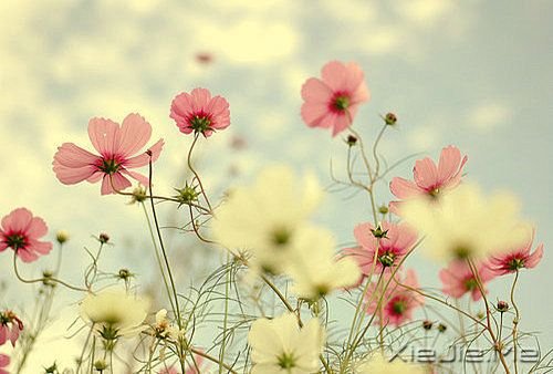 ����Ҳ���ô�ں��������򵥵ö� (12)