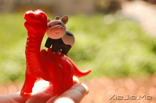 �����������ǰ;�������գ���Ҫ΢Ц��վ�� (4)