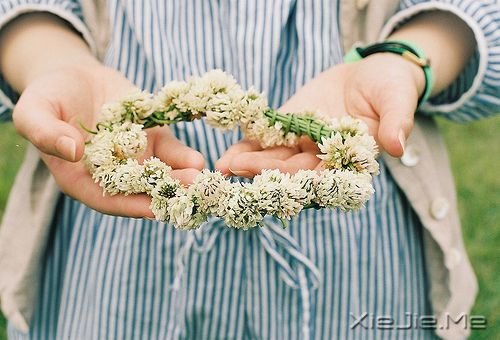 �簲���������������� (5)