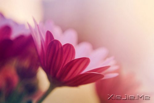 ��ȷ���ͱ����ǣ���������׻���һ����