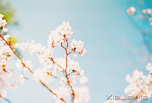 2014����12�������ı��Լ� (12)