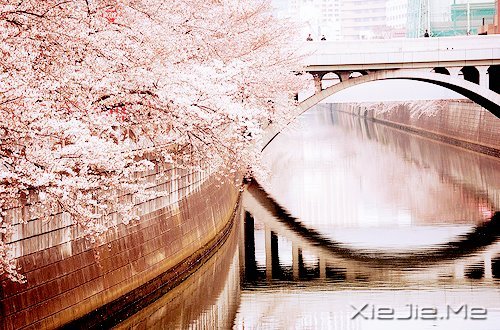 马年和自己的10个约定 (10)