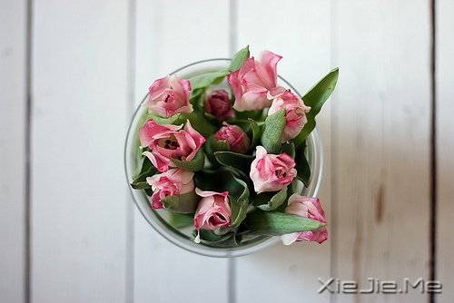 读懂人生,富有哲理的座右铭 (2)