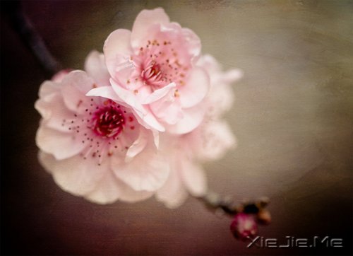 读懂人生,富有哲理的座右铭 (5)