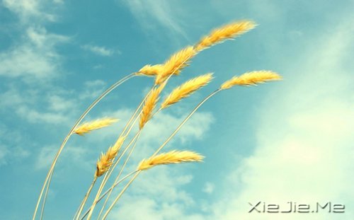 写人仅两笔,做人需一生 (1)