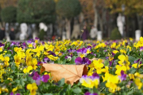 �����������ĸ������ͱ���Ĺ��� (5)