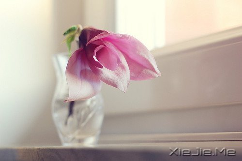 �����Լ������κ��ź� (2)