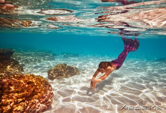 �������е��㶼������ͬһƬ����