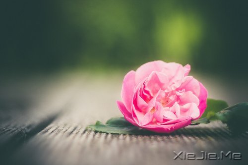 ����Խ���ʱ����ԽҪ��