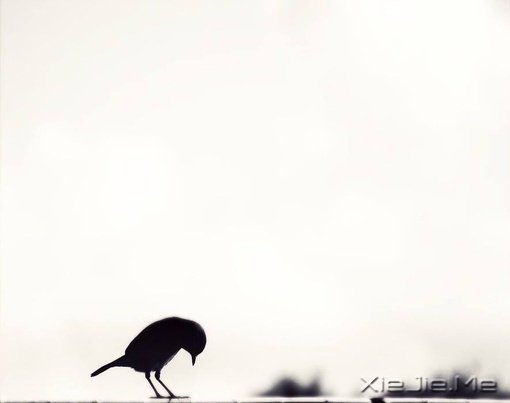 ���֣������������Ҫ��һ���� (5)