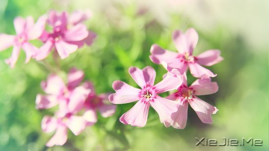 文字:要少做的十件事 (8)