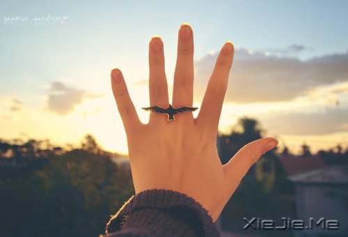 ���֣�����˭��