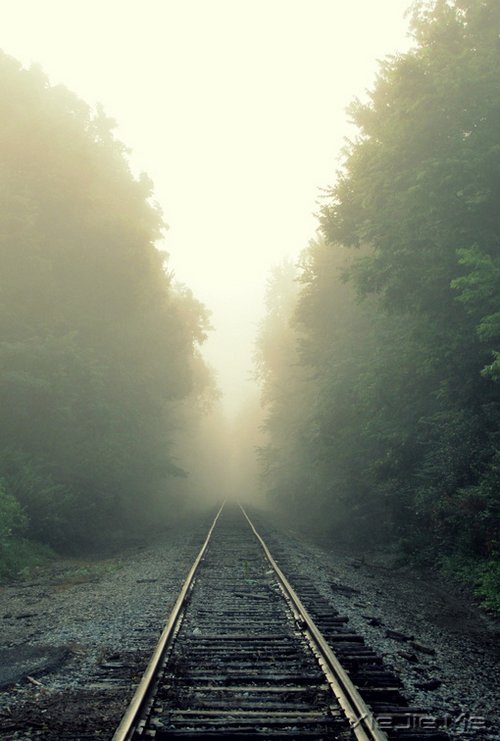 ���֣�����ͣ�½Ų���ֻΪ�ߵø�Զ (5)