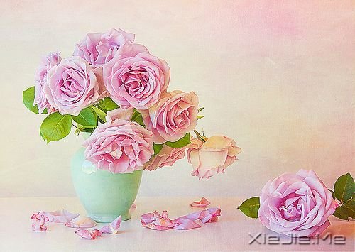 �ɾ�һ����50������̬ (4)