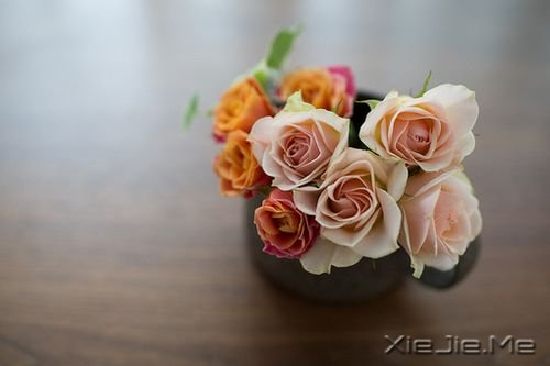 一个女孩儿写的婚后感言 (1)