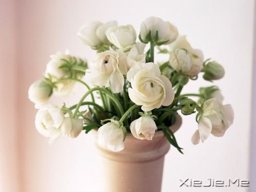 ��һ����׷��ʲô