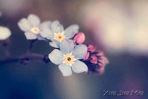 �Ҹ��������ߣ���ĺܼ�