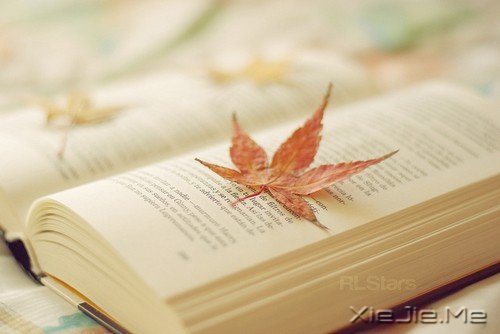 做什么样的人,决定权在自己