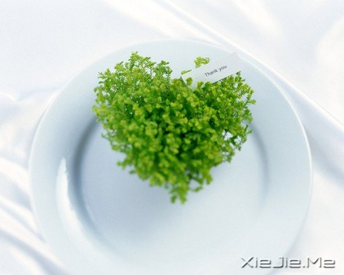 人生路上你应该明白的道理